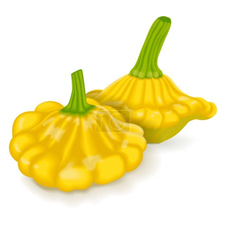 Illustration for Group of Yellow Patty Pan squash or Scallop or Scallopini squash. Summer squash. Cucurbita pepo. Fruits and vegetables. Vector illustration isolated on white background. - Royalty Free Image