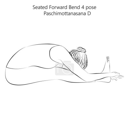 Illustration for Sketch of young woman practicing yoga, doing Seated Forward Bend 4 pose or Intense West Stretch. Paschimottanasana D. Seated and Forward Bend. Vector illustration isolated on transparent background. - Royalty Free Image