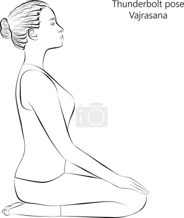 Illustration for Sketch of young woman practicing yoga, doing Thunderbolt pose or Diamond pose or Kneeling pose. Vajrasana. Seated and Neutral. Beginner. Vector illustration isolated on transparent background. - Royalty Free Image