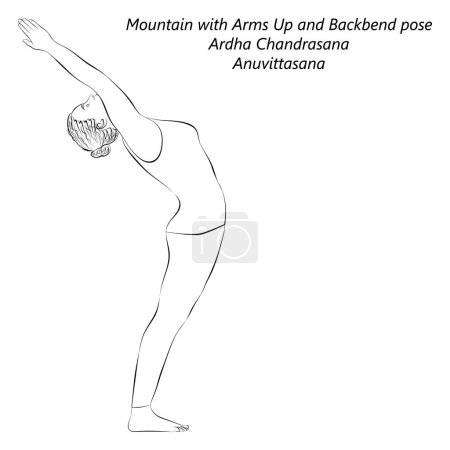 Illustration for Sketch of young woman practicing yoga, doing Mountain with Arms Up and Backbend pose. Ardha Chandrasana. Anuvittasana. Standing and Backbend. Vector illustration isolated on transparent background. - Royalty Free Image