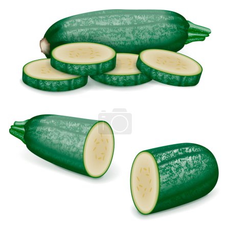 Illustration for Whole and chopped Cousa or Kousa squash or Magda squash. Summer squash. Cucurbita moschata. Fruits and vegetables. Vector illustration isolated on white background. - Royalty Free Image