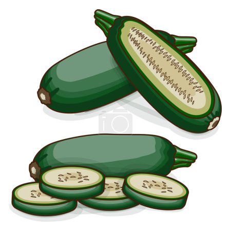 Illustration for Whole and chopped Cousa or Kousa squash or Magda squash. Summer squash. Cucurbita moschata. Fruits and vegetables. Clipart. Vector illustration isolated on white background. - Royalty Free Image