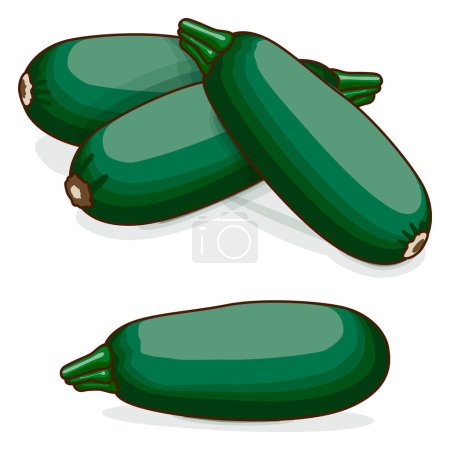 Illustration for Group of Cousa or Kousa squash or Magda squash. Summer squash. Cucurbita moschata. Fruits and vegetables. Clipart. Vector illustration isolated on white background. - Royalty Free Image