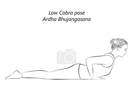Bosquejo de una joven practicando yoga, haciendo pose Low Cobra o pose Baby Cobra. Ardha Bhujangasana. Backbend. Prone y Backbend. Principiante. Ilustración vectorial aislada.