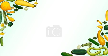 Illustration for Rectangular banner with different types of summer squash. Cucurbita. Cucurbitaceae. Fruits and vegetables. Isolated vector illustration. Horizontal template. Cartoon style. - Royalty Free Image