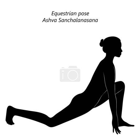 Illustration for Black silhouette of young woman practicing yoga, doing Equestrian pose. Ashva Sanchalanasana. Arm Leg Support and Balancing. Beginner. Isolated vector illustration. - Royalty Free Image