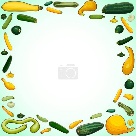 Illustration for Square banner with different types of summer squash. Cucurbita. Cucurbitaceae. Fruits and vegetables. Isolated vector illustration. Template. Cartoon style. - Royalty Free Image