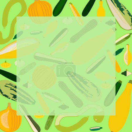 Illustration for Square banner with different types of summer squash. Cucurbita. Cucurbitaceae. Fruits and vegetables. Isolated vector illustration. Template. Cartoon style. Flat style. - Royalty Free Image
