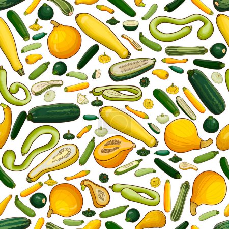 Illustration for Seamless pattern with different types of of summer squash. Cucurbita. Cucurbitaceae. Fruits and vegetables. Isolated vector illustration. Art. - Royalty Free Image