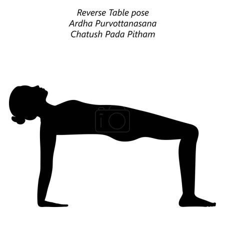 Illustration for Silhouette of young woman practicing yoga, doing Reverse Table pose or Crab pose. Ardha Purvottanasana. Arm Leg Support and Backbend. Beginner. Isolated vector illustration. - Royalty Free Image