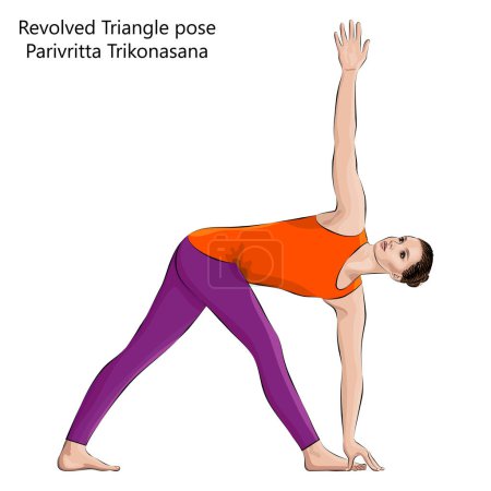 Young woman practicing yoga exercise, doing Revolved Triangle pose. Parivritta Trikonasana. Standing and Twist. Intermediate. Isolated vector illustration.