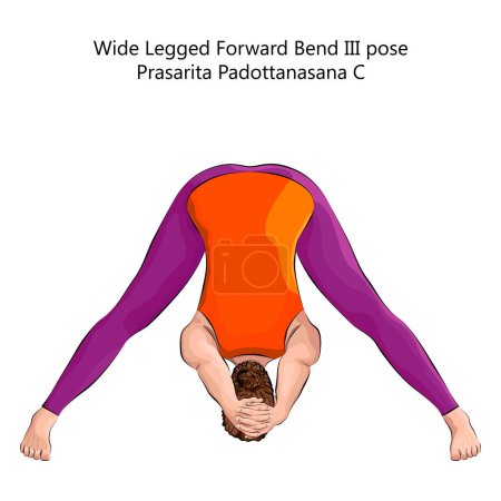 Téléchargez les illustrations : Jeune femme faisant du yoga Prasarita Padottanasana C. Large Legged Forward Bend 3 pose. Difficulté intermédiaire. Illustration vectorielle isolée. - en licence libre de droit