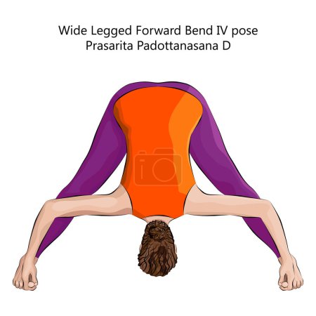 Téléchargez les illustrations : Jeune femme faisant du yoga Prasarita Padottanasana D. Large Legged Forward Bend 4 pose. Difficulté intermédiaire. Illustration vectorielle isolée. - en licence libre de droit