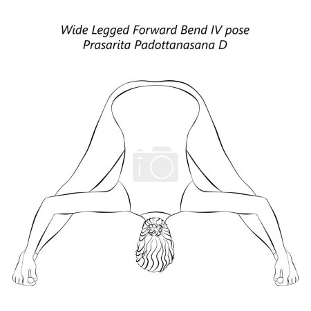 Téléchargez les illustrations : Croquis de la jeune femme faisant du yoga Prasarita Padottanasana D. Large Legged Forward Bend 4 pose. Difficulté intermédiaire. Illustration vectorielle isolée. - en licence libre de droit