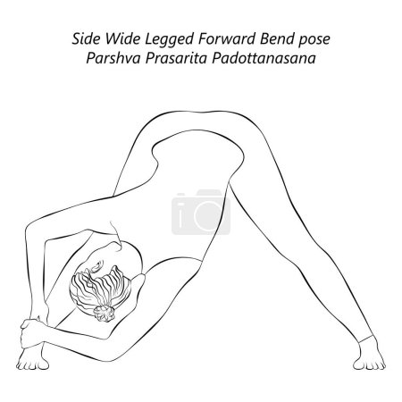 Téléchargez les illustrations : Croquis de la jeune femme faisant du yoga Parshva Prasarita Padottanasana. Side Wide Legged pose de flexion vers l'avant. Illustration vectorielle isolée. - en licence libre de droit