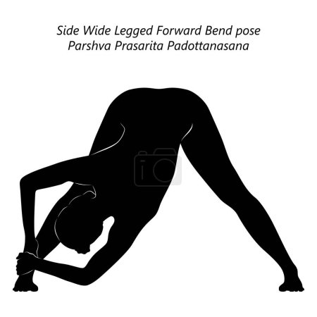Téléchargez les illustrations : Silhouette de femme faisant du yoga Parshva Prasarita Padottanasana. Side Wide Legged pose de flexion vers l'avant. Illustration vectorielle isolée. - en licence libre de droit