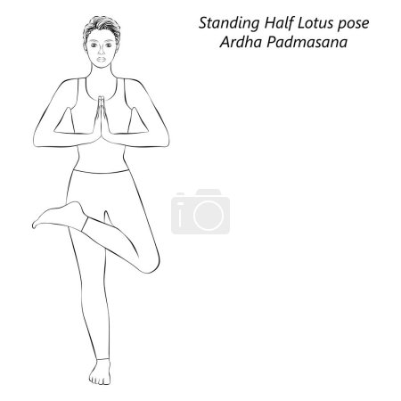 Téléchargez les illustrations : Croquis de la jeune femme faisant du yoga Ardha Padmasana. Demi pose de Lotus debout ou Demi pose d'arbre de Lotus. Illustration vectorielle isolée. - en licence libre de droit