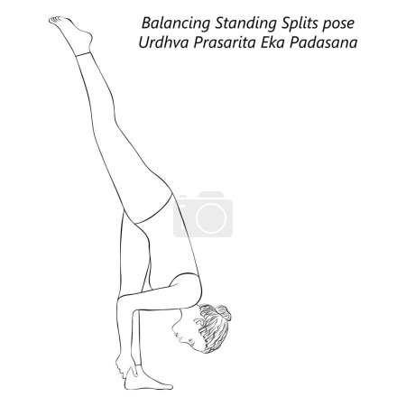 Ilustración de Bosquejo de una joven haciendo yoga Urdhva Prasarita Eka Padasana. Balancing Standing Splits pose. Ilustración vectorial aislada. - Imagen libre de derechos