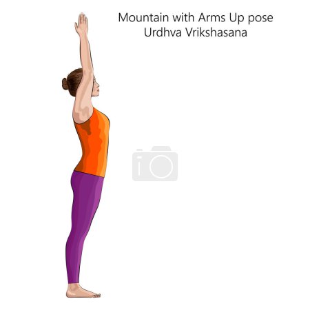 Téléchargez les illustrations : Jeune femme faisant du yoga Urdhva Vrikshasana. Montagne avec les bras vers le haut ou vers le haut pose de l'arbre. Débutant Difficulté. Illustration vectorielle isolée. - en licence libre de droit