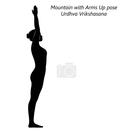 Téléchargez les illustrations : Silhouette de femme faisant du yoga Urdhva Vrikshasana. Montagne avec les bras vers le haut ou vers le haut pose de l'arbre. Illustration vectorielle isolée. - en licence libre de droit