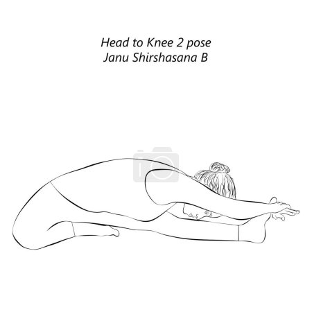 Téléchargez les illustrations : Croquis de la femme faisant du yoga Janu Shirshasana B. Prenez la pose du genou 2. Difficulté intermédiaire. Illustration vectorielle isolée. - en licence libre de droit
