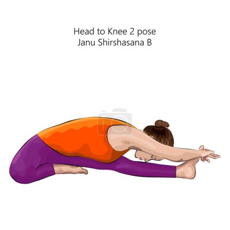 Téléchargez les illustrations : Jeune femme faisant du yoga Janu Shirshasana B. Prenez la pose du genou 2. Difficulté intermédiaire. Illustration vectorielle isolée. - en licence libre de droit