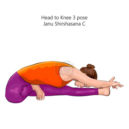 Téléchargez les illustrations : Jeune femme faisant du yoga Janu Shirshasana C. Tête au genou 3 pose. Difficulté intermédiaire. Illustration vectorielle isolée. - en licence libre de droit