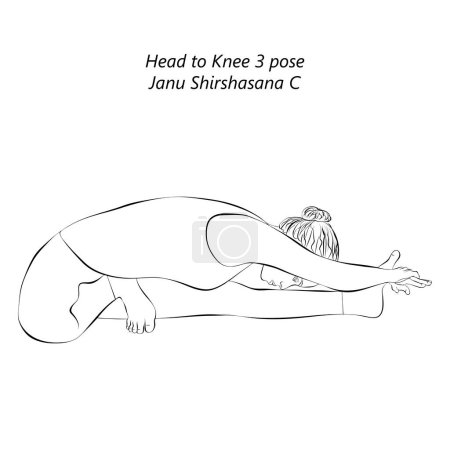 Ilustración de Bosquejo de la mujer haciendo yoga Janu Shirshasana C. Cabeza a rodilla 3 pose. Dificultad intermedia. Ilustración vectorial aislada. - Imagen libre de derechos