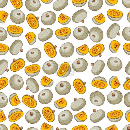 Seamless pattern with Confection squash. Winter squash. Cucurbita maxima. Vegetables. Cartoon style. Isolated vector illustration.