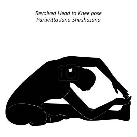 Téléchargez les illustrations : Silhouette de femme faisant du yoga Parivritta Janu Shirshasana. Revolved Head to Knee pose. Difficulté intermédiaire. Illustration vectorielle isolée - en licence libre de droit