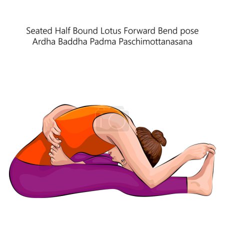 Ilustración de Mujer joven haciendo yoga Ardha Baddha Padma Paschimottanasana. Mitad sentada atada de loto hacia adelante Doblar la pose. Ilustración vectorial aislada. - Imagen libre de derechos