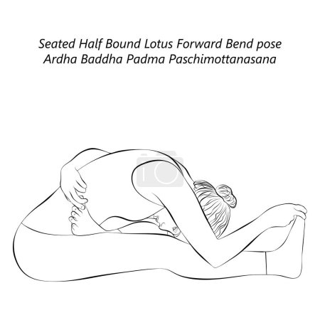 Sketch of woman doing yoga Ardha Baddha Padma Paschimottanasana. Seated Half Bound Lotus Forward Bend pose. Isolated vector illustration.