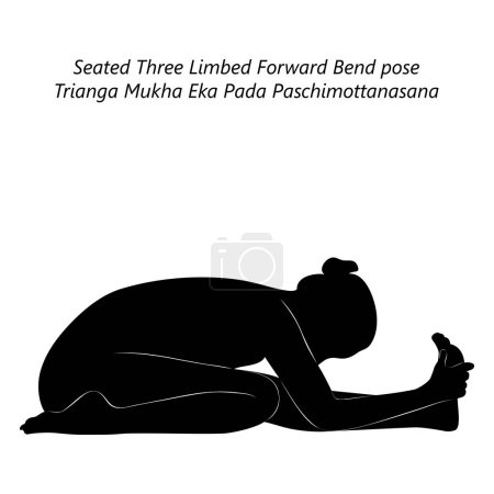Téléchargez les illustrations : Silhouette de femme faisant du yoga Trianga Mukha Eka Pada Paschimottanasana. Asseyez-vous trois Limbed avant flexion pose ou demi-héros avant flexion pose. Illustration vectorielle isolée - en licence libre de droit