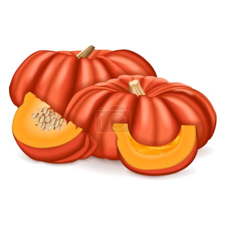 Whole and chopped Cinderella pumpkin. Rouge Vif D Etampes. Winter squash. Cucurbita maxima. Fruits and vegetables. Isolated vector illustration.