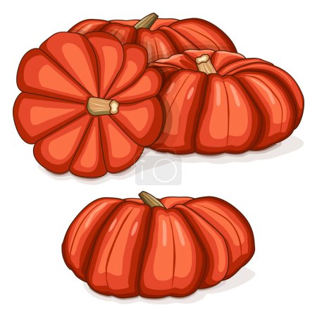 Illustration for Group of Cinderella pumpkin. Rouge Vif D Etampes. Winter squash. Cucurbita maxima. Fruits and vegetables. Clipart. Isolated vector illustration. - Royalty Free Image