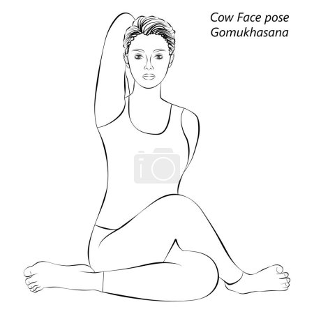 Téléchargez les illustrations : Croquis de la jeune femme pratiquant la pose de yoga Gomukhasana. Face de vache pose. Difficulté intermédiaire. Illustration vectorielle isolée. - en licence libre de droit