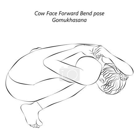 Skizze einer jungen Frau, die Gomukhasana Yoga-Pose praktiziert. Mittlere Schwierigkeit. Isolierte Vektorillustration.