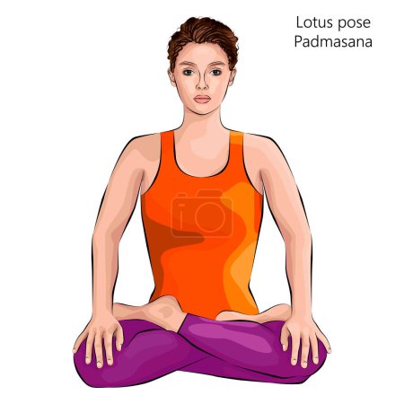 Téléchargez les illustrations : Jeune femme pratiquant Padmasana yoga pose.Lotus pose. Difficulté intermédiaire. Illustration vectorielle isolée. - en licence libre de droit