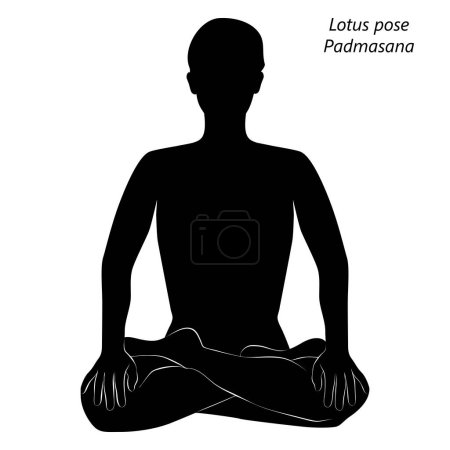 Téléchargez les illustrations : Silhouette de jeune femme pratiquant Padmasana yoga pose.Lotus pose. Difficulté intermédiaire. Illustration vectorielle isolée - en licence libre de droit