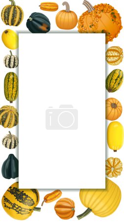 Vertikales Banner mit Winterkürbisarten. Cucurbita pepo. Cucurbitaceae. Obst und Gemüse. Isolierte Vektorillustration. Vorlage.