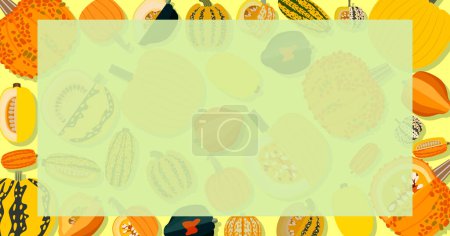 Rectangular banner with types of winter squash. Cucurbita pepo. Fruits and vegetables. Isolated vector illustration. Horizontal template. Flat style.