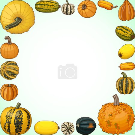 Square banner with types of winter squash. Cucurbita pepo. Cucurbitaceae. Fruits and vegetables. Isolated vector illustration. Template. Clipart.