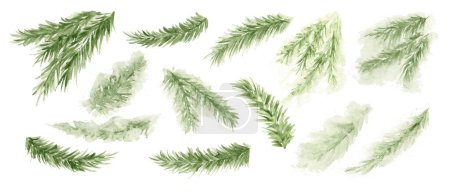 Ilustración de Rama de pino, árbol de hoja perenne, abeto, acuarela de cedro. Invierno plantas verdes, decoración de vacaciones. - Imagen libre de derechos
