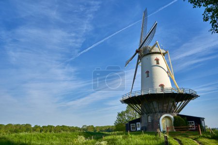 Windmühle (de koe) vor blauem Morgenhimmel. Technisches Bauen aus holländischer Kultur in der Natur. Niederlande, Zeeland, Domburg.
