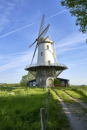 Windmühle (de koe) vor blauem Morgenhimmel. Technisches Bauen aus holländischer Kultur in der Natur. Niederlande, Zeeland, Domburg.