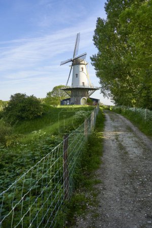 Windmühle (de koe) vor blauem Morgenhimmel. Technisches Bauen aus holländischer Kultur in der Natur. Landschaft mit Zaun und Wanderweg. Niederlande, Zeeland, Domburg.