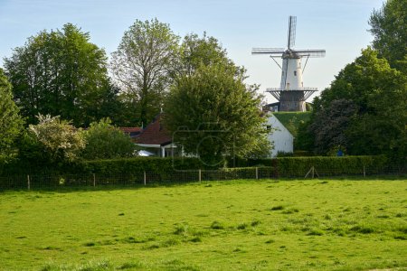 Windmühle (de koe) vor blauem Morgenhimmel. Technisches Bauen aus holländischer Kultur in der Natur. Grüne Wiese, niemand. Niederlande, Zeeland, Domburg.