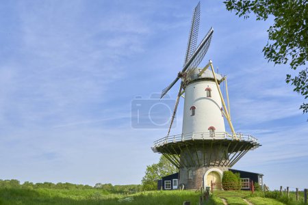 Windmill ( de koe ) before a blue morning sky. Technical building from dutch culture in nature. Netherlands, Zeeland, Domburg.