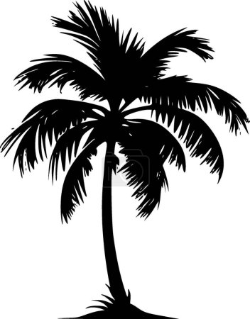 Palm tree - black and white vector illustration