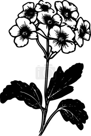 Illustration for Primrose - black and white vector illustration - Royalty Free Image
